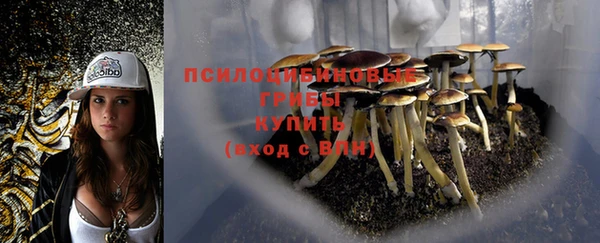 a pvp Баксан