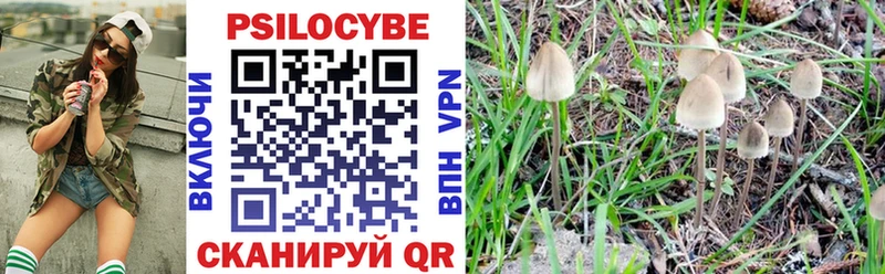 Галлюциногенные грибы MAGIC MUSHROOMS  дарк нет состав  Борзя 